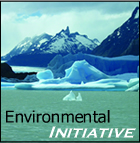 Brithinee - Environmental Initiative