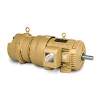 Baldor-Reliance 42.84 in. Overall Length and 82 Power Factor Short-Series Brake AC Motor
