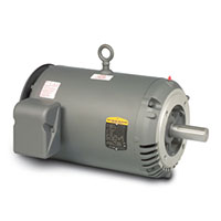 Baldor-Reliance 13.41 in. Overall Length and 59 Power Factor Three Phase Open AC Motor